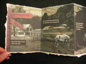 Accordion Book #3