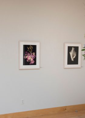 2.7Gallery06