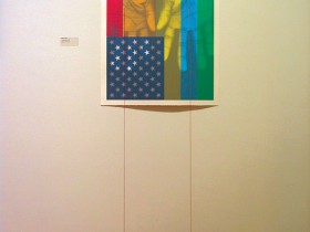 Patriot Series, I Pledge Allegiance, gallery installation